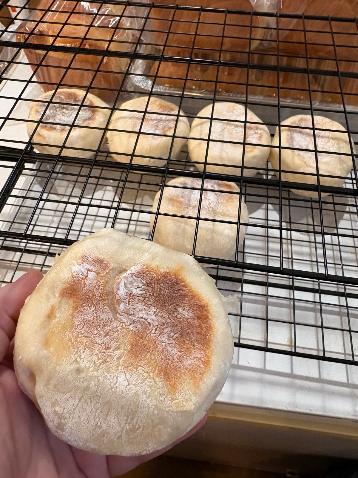Sourdough English Muffins